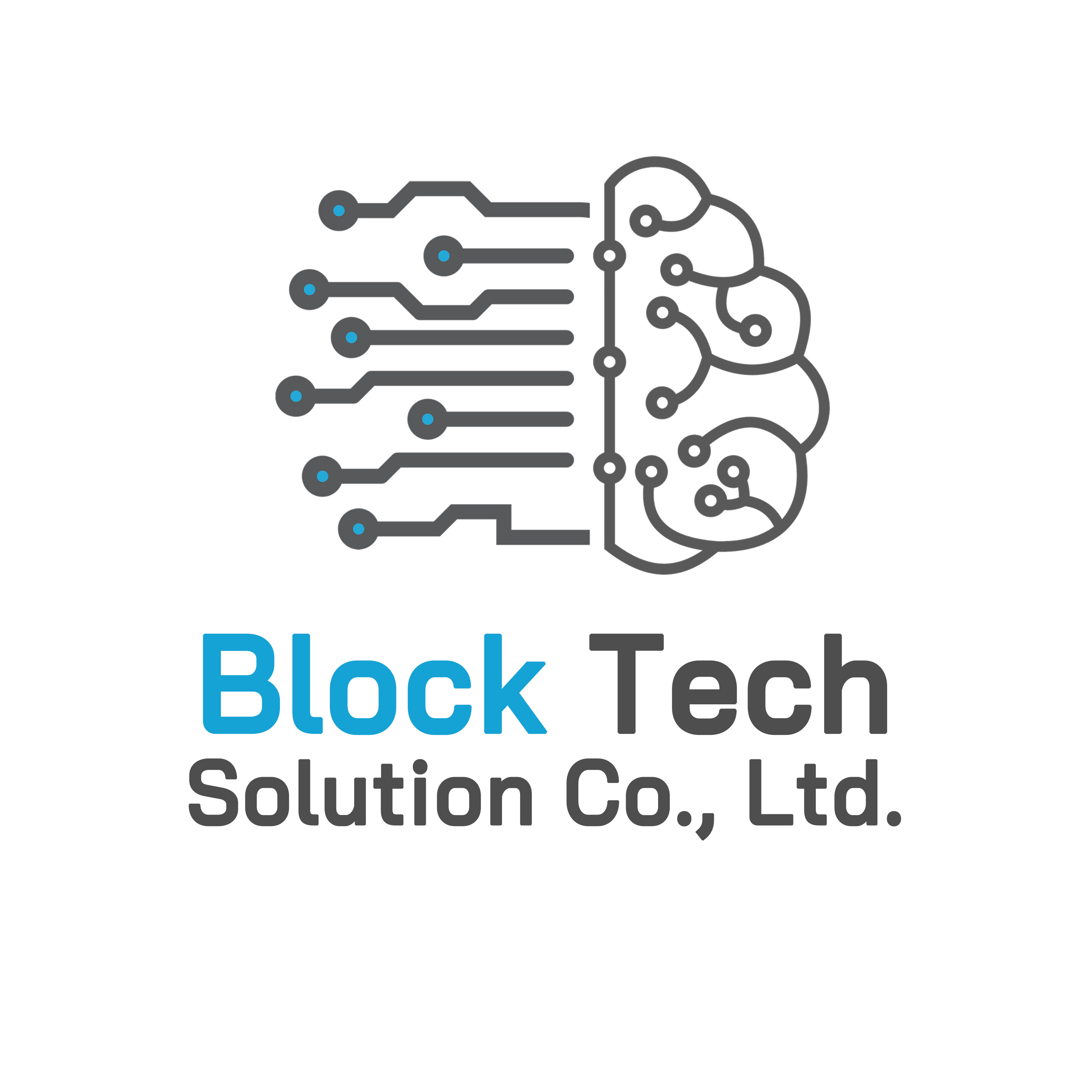 Block Tech Solution Logo